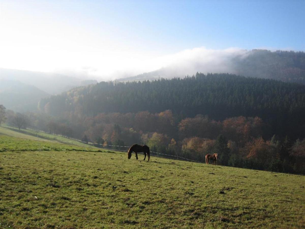 Rhoenspass *